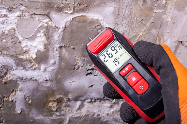 Best Water Damage Restoration  in Freeport, IL